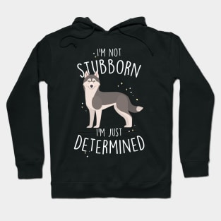 Husky Dog Not Stubborn Just Determined Grey Siberian Husky Hoodie